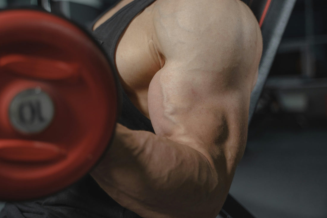Creatine Loading Phase: Do You Really Need It?